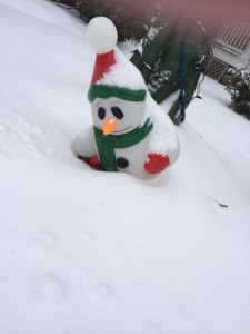 retro snowbaby